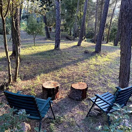 Holiday home Vila-seca Vall D'amunt *