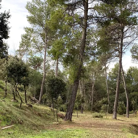 Vila-seca Vall D'amunt Aguilar de Segarra